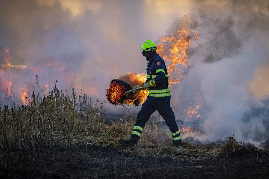 fire, field, firefighter