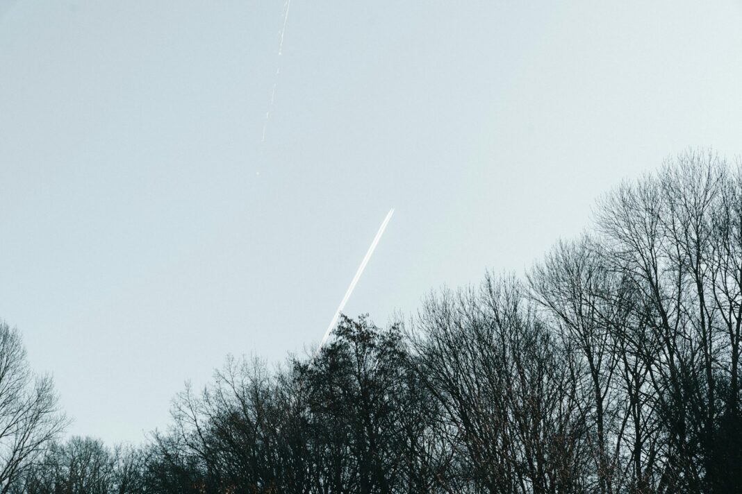 Trees with sky and a contrail.