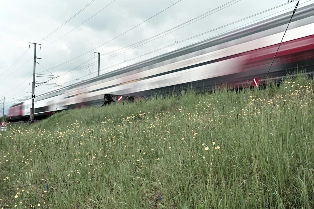 a train on the railway tracks