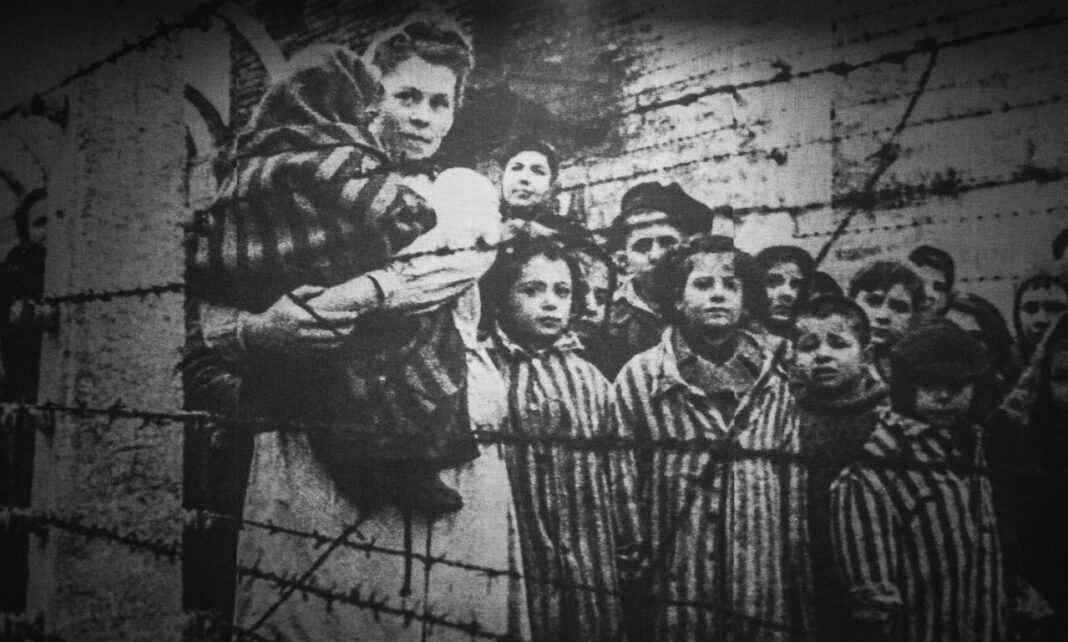 auschwitz, concentration camp, photograph, victims, horror, history, war, prison, nazism, holocaust, museum, suffering, crime, poland